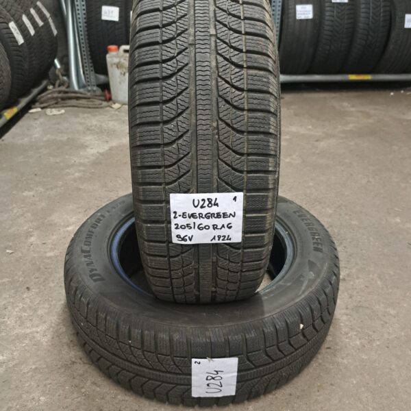 2 - EVERGREEN EA719 4SEASON 205/60R16 96V