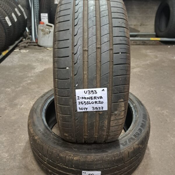 2 - MINERVA F205 255/40R20 101Y